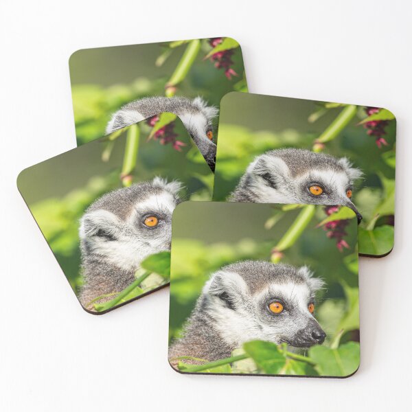 Item preview, Lemur in the leaves designed and sold by Dalyndigital Photography.