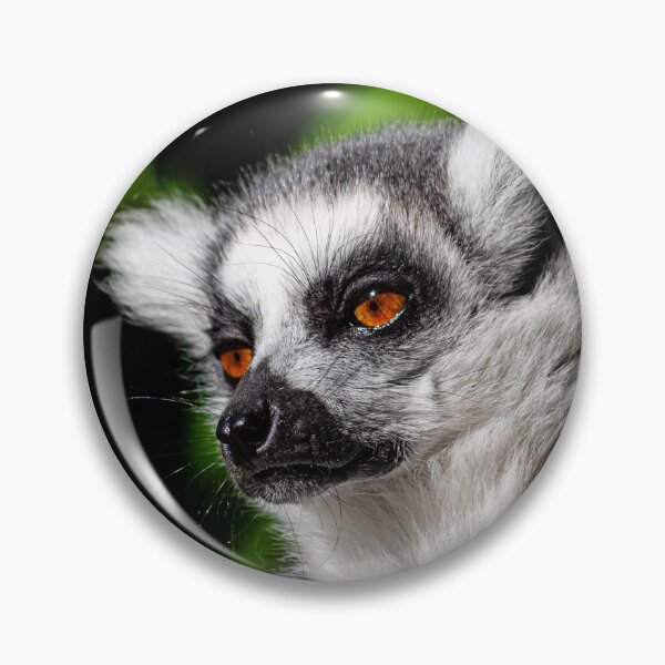 Item preview, The Lemur Look! designed and sold by Dalyndigital Photography.