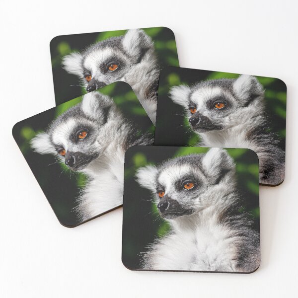 Item preview, The Lemur Look! designed and sold by Dalyndigital Photography.