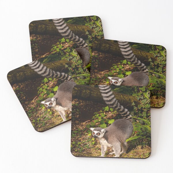 Item preview, The Lemur Walk designed and sold by Dalyndigital Photography.