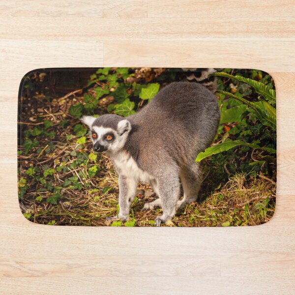 Item preview, The Lemur Walk designed and sold by Dalyndigital Photography.