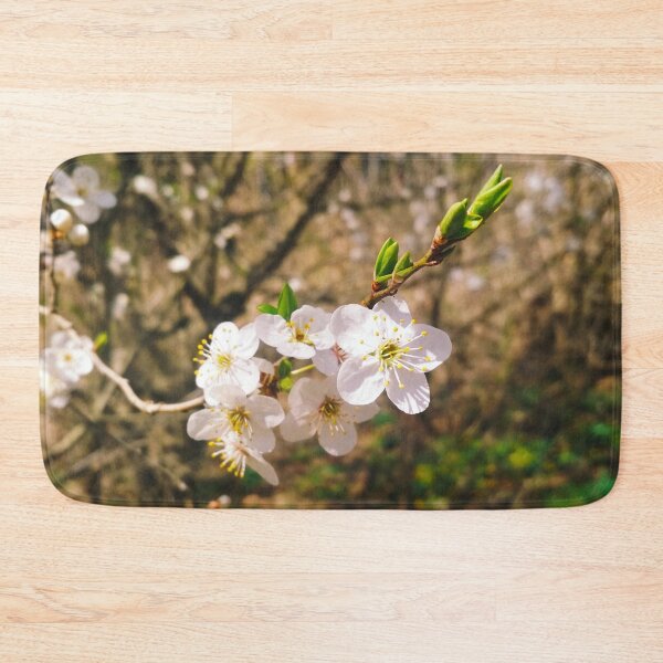 Item preview, Cherry tree in blossom, natural background, yearly spring  designed and sold by helenkaiy.
