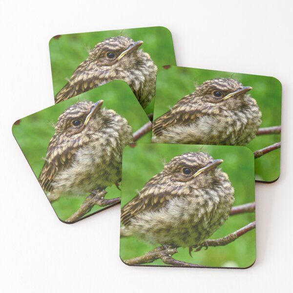 Item preview, Watchful young bird thrush designed and sold by yarvin13.