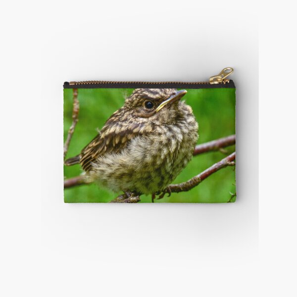 Item preview, Watchful young bird thrush designed and sold by yarvin13.
