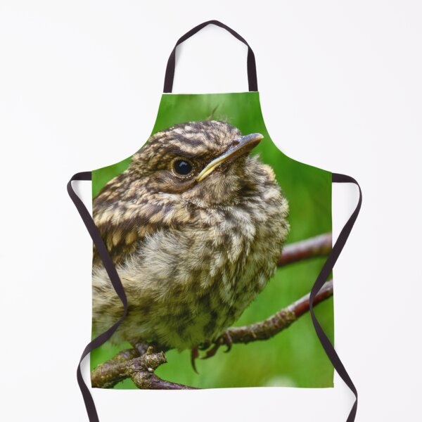 Item preview, Watchful young bird thrush designed and sold by yarvin13.