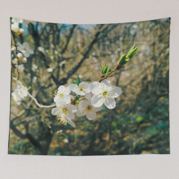 Item preview, Cherry tree in blossom, natural background, yearly spring  designed and sold by helenkaiy.