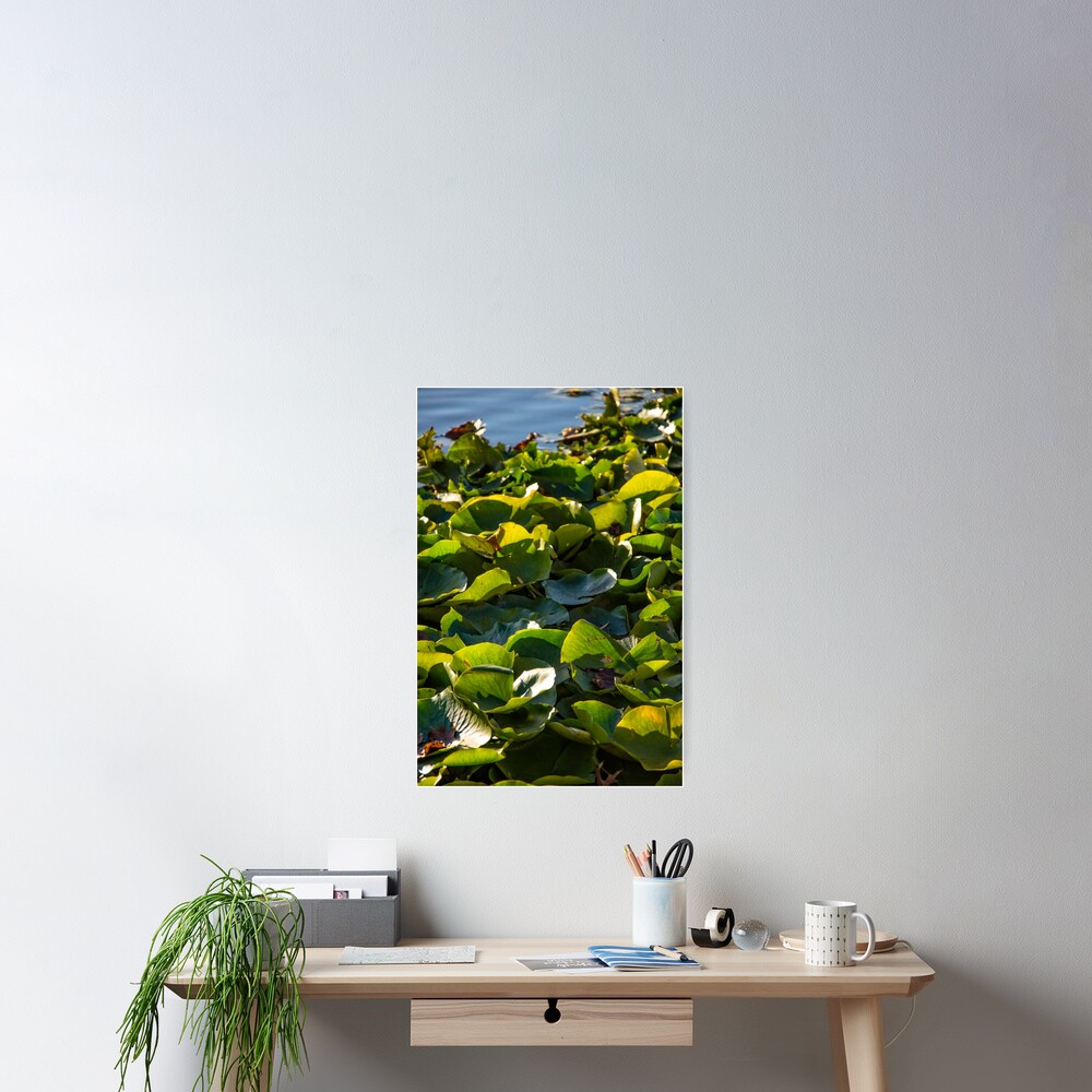 Item preview, Poster designed and sold by TCPhotoStore.