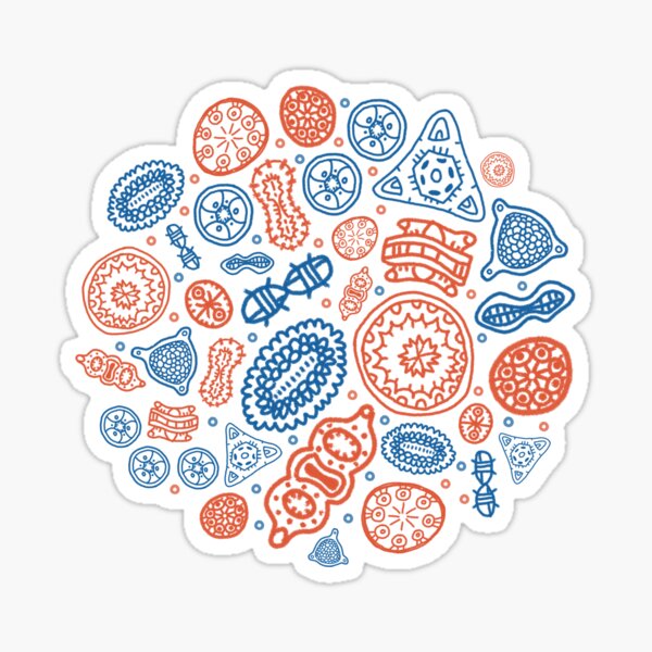 Diatoms Pegatina