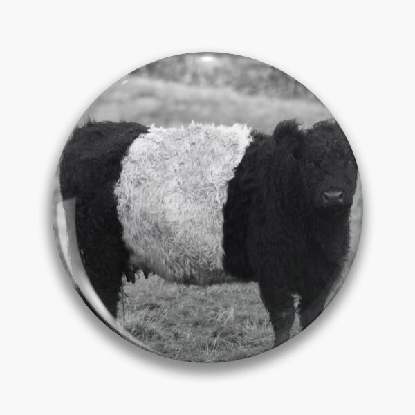 Item preview, Belted Galloway Cow and Calf designed and sold by derekbeattie.
