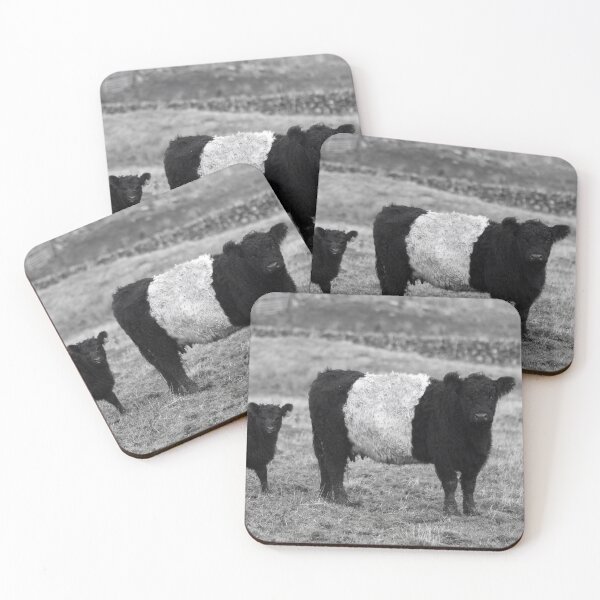Item preview, Belted Galloway Cow and Calf designed and sold by derekbeattie.