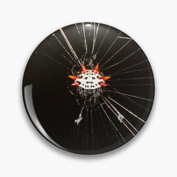 Item preview, Spinybacked Araña tejedora designed and sold by DretographyFL.