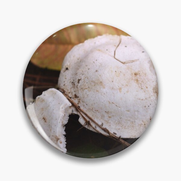 Item preview, Autumn Mushrooms designed and sold by AliciaVN.