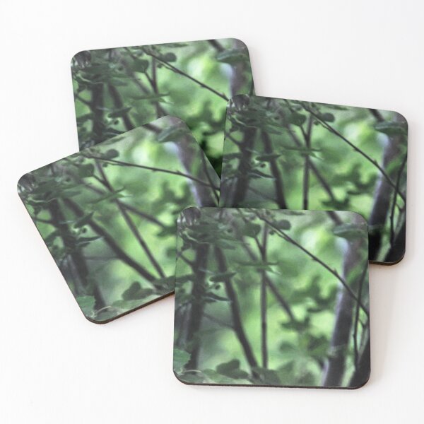 Item preview, Nature Walk designed and sold by michaelasamples.