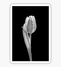 Plant Form 183 Sticker
