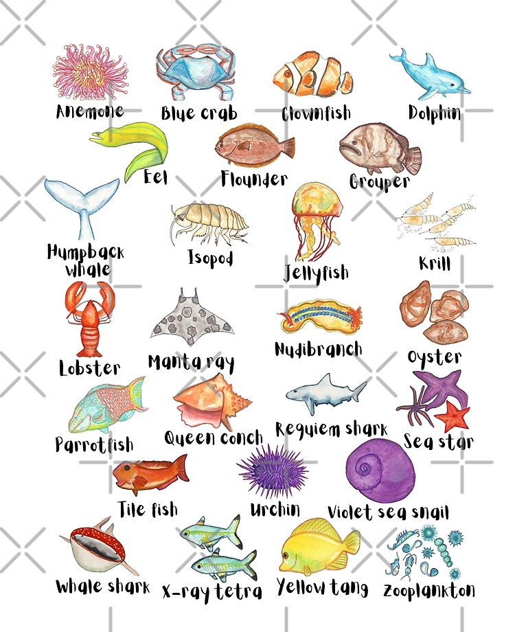 A to Z Sea Life Ocean Animals Alphabet ABC A to Z Sea Life Ocean Animals Alphabet ABC