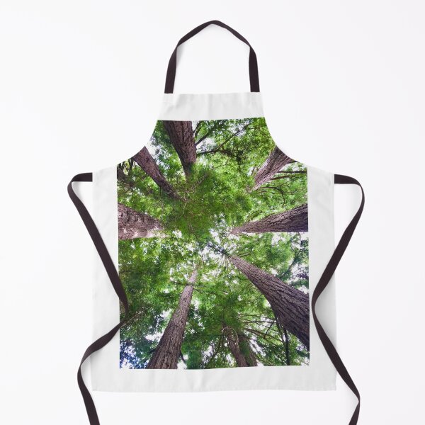 Item preview, Looking up into Redwood trees designed and sold by Christine Wilson Photos.