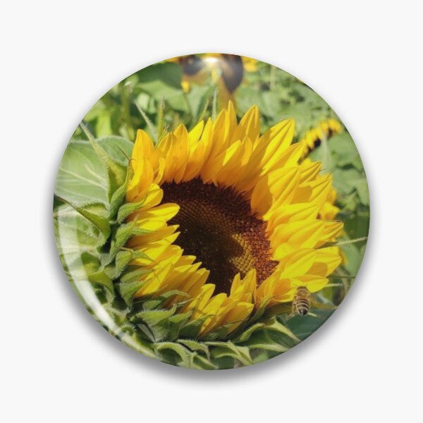 Artikelvorschau, Sonnenblume & Biene entworfen und verkauft von NikGoretti.
