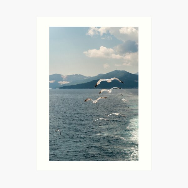 fly by Art Print