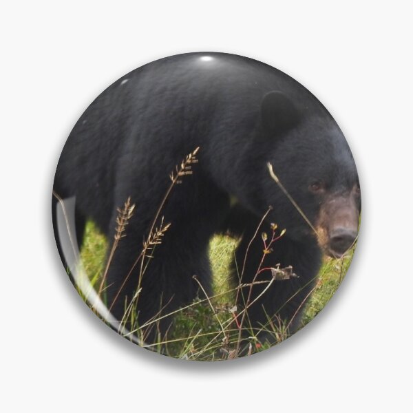 Item preview, Black Bear designed and sold by milanhruby.