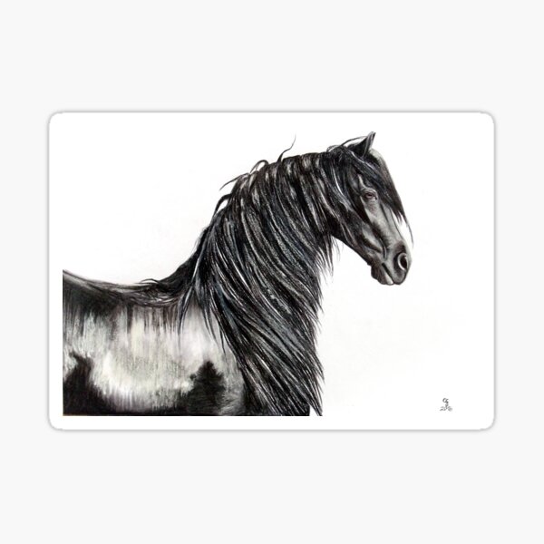 Item preview, Wietze | Friesian Stallion designed and sold by Celesté Groenewald.