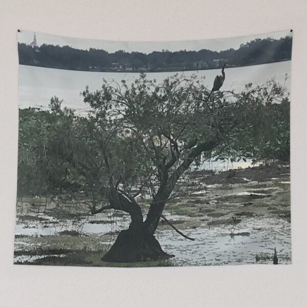 Item preview, Large looking Bonsai Tree in Lake Hollingsworth Lakeland Florida Gray designed and sold by DiscGolfTees.