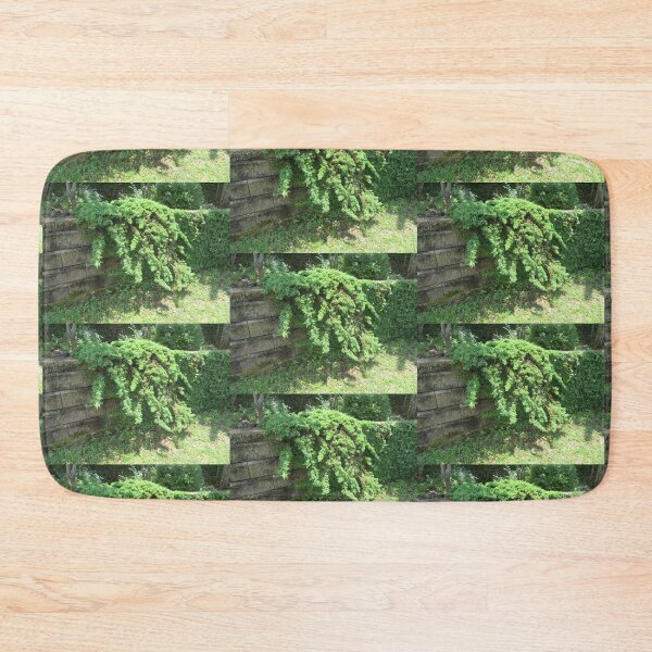 Item preview, Plants Hanging over a Wall designed and sold by Mariann Moritz.