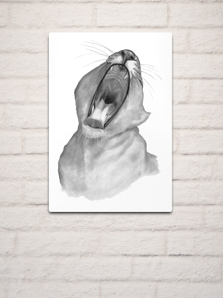 Lion Yawning: Big-Mouthed Lion: Pencil Drawing: Wildlife Metal
