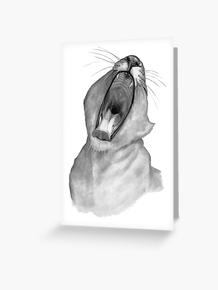 Lion Yawning: Big-Mouthed Lion: Pencil Drawing: Wildlife Greeting
