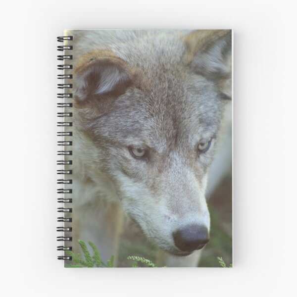 Item preview, Wolf Face designed and sold by ThruJensLens.