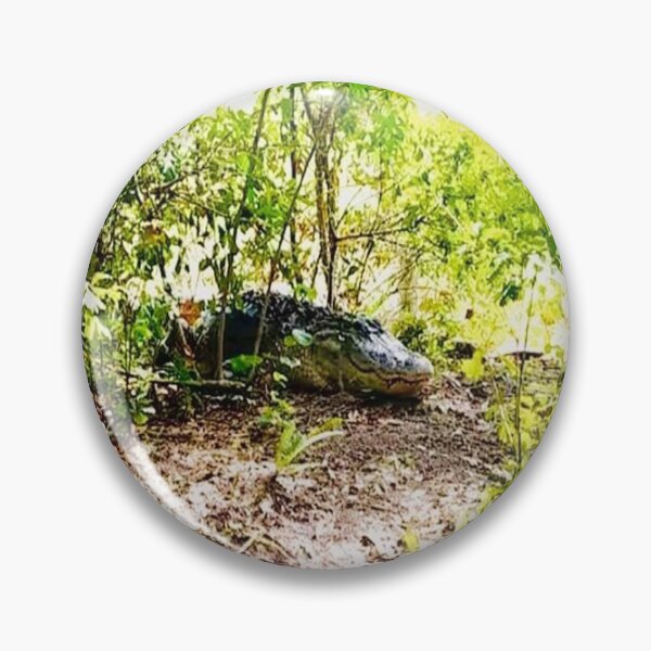 Item preview, Watch Out for the Alligator in Florida Wildlife Photograph designed and sold by DiscGolfTees.