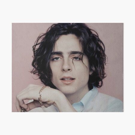 Artikel-Vorschau von  Timothee Chalamet Snl, Masken-Sketch , designt und verkauft von Designs248877.