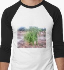 Willow Men's Baseball ¾ T-Shirt