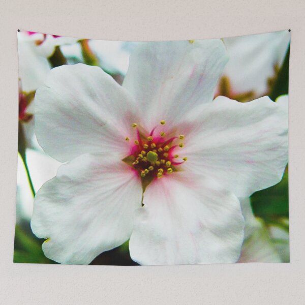 Item preview, One sakura flower  designed and sold by Karolien Kenis.