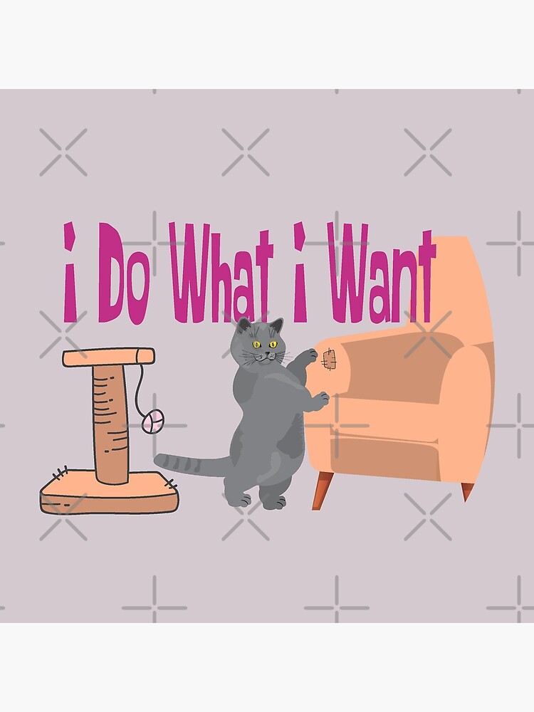 "I Do What I Want Funny Cat Scratching Couch Meme" Poster for Sale by