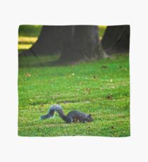 Scavenger Hunt Scarf
