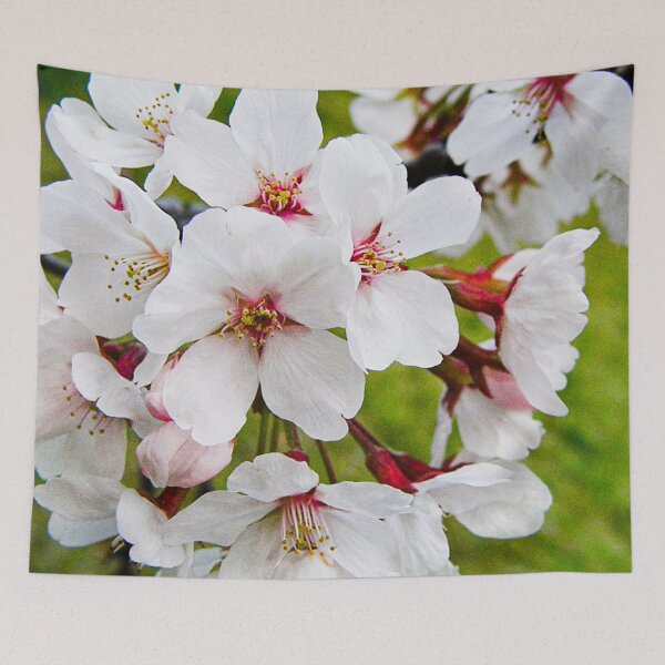 Item preview, Never to much sakura  designed and sold by Karolien Kenis.