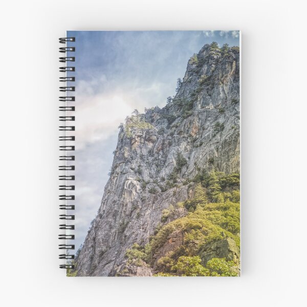Item preview, In Yosemite Valley Looking Up designed and sold by John Bailey.