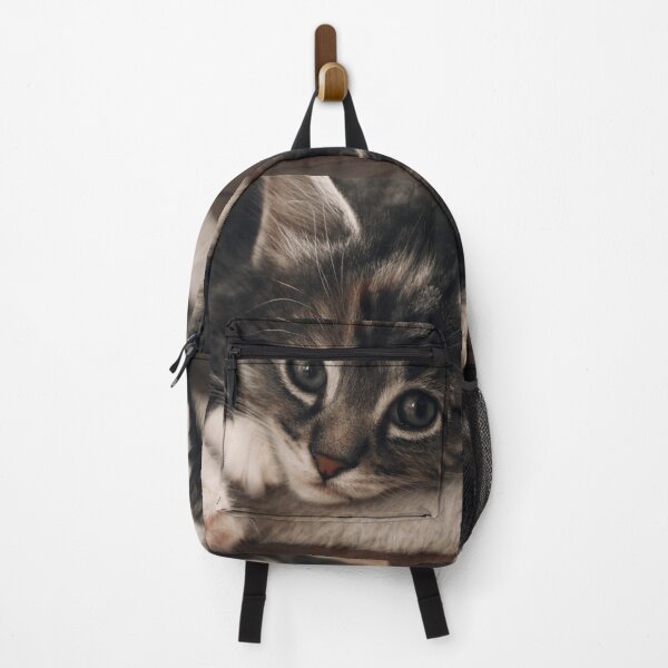Item preview, Maine coon kitten designed and sold by Milanicole.