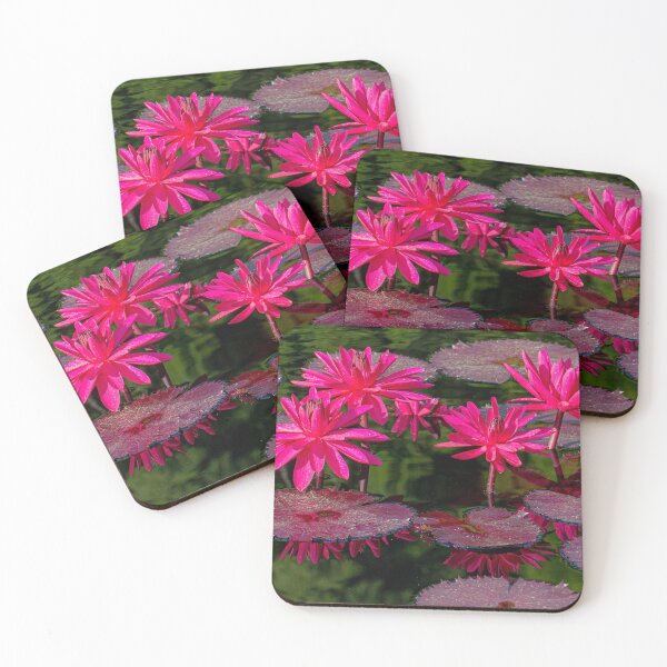 Item preview, Colorful waterlily garden designed and sold by Tami Bevis.