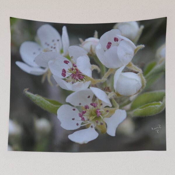 Item preview, Pear flowers designed and sold by AliciaVN.