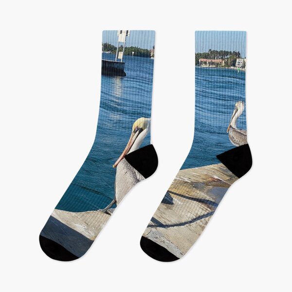 Item preview, Young Pelicans Overlooking Jetty designed and sold by JDMHoney.