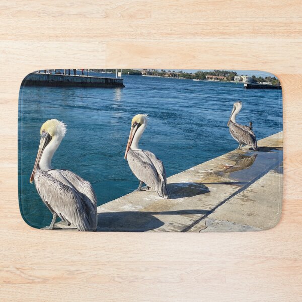 Item preview, Young Pelicans Overlooking Jetty designed and sold by JDMHoney.