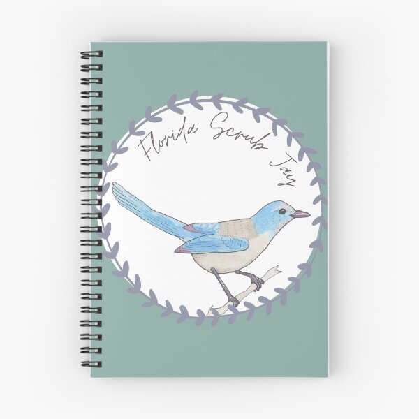 Item preview, Florida Scrub Jay bird species Art illustration designed and sold by TheWaterBirds.