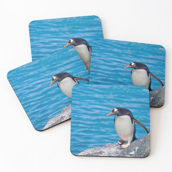 Item preview, Sunny Gentoo designed and sold by Enceladus1.