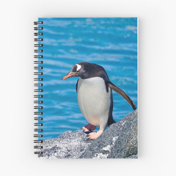 Item preview, Sunny Gentoo designed and sold by Enceladus1.