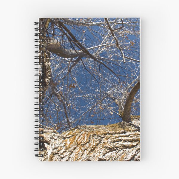 Item preview, Autumn and winter nature photography designed and sold by Ventures1.