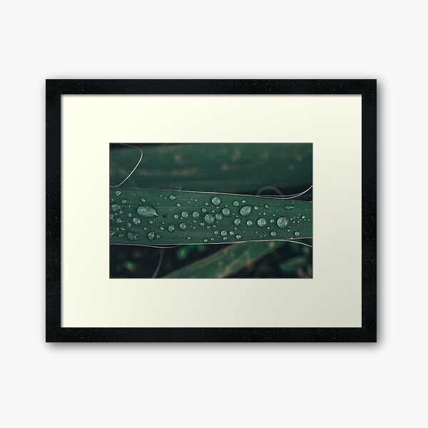 Feeling Fresh Framed Art Print