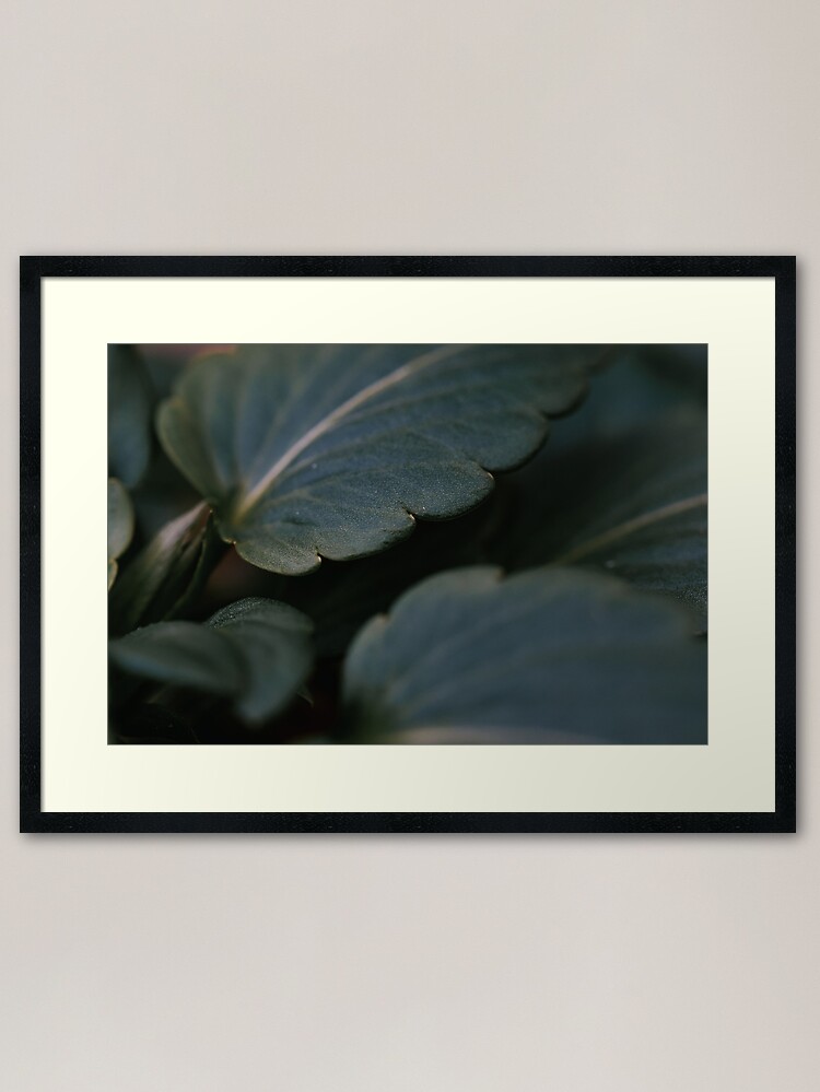 Alternate view of Thick Leaf Framed Art Print