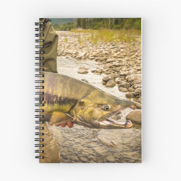 Item preview, Close up of a large, Chum Salmon with a big kype in the jaw and stripes designed and sold by SnapTPhotograph.