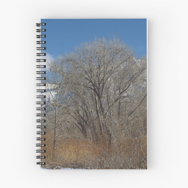 Item preview, Autumn and winter nature photography designed and sold by Ventures1.
